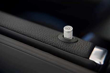 Дверные кнопки Brabus 205-819-00 для Mercedes-Benz GLE W166 (оригинал, Германия)