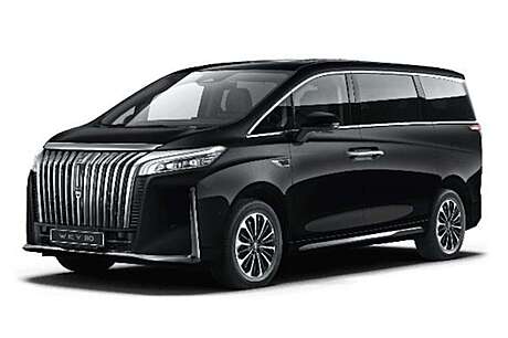 Беcштыревые Доводчики дверей для WEY 80 2024-2026